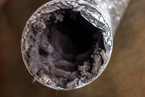 Best Affordable Duct Cleaning Services  in Olivette, MO