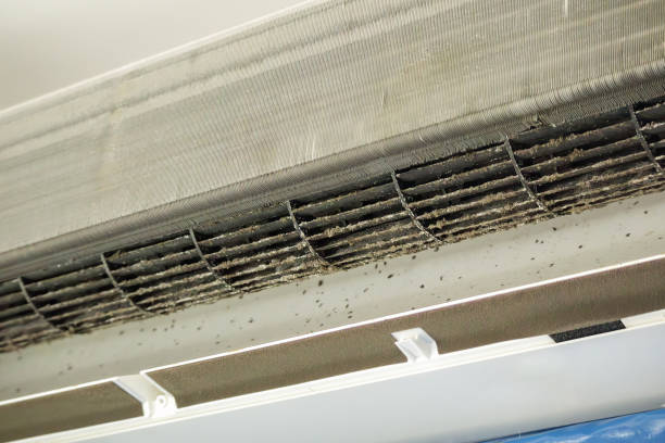 Best HVAC Air Duct Cleaning  in Olivette, MO